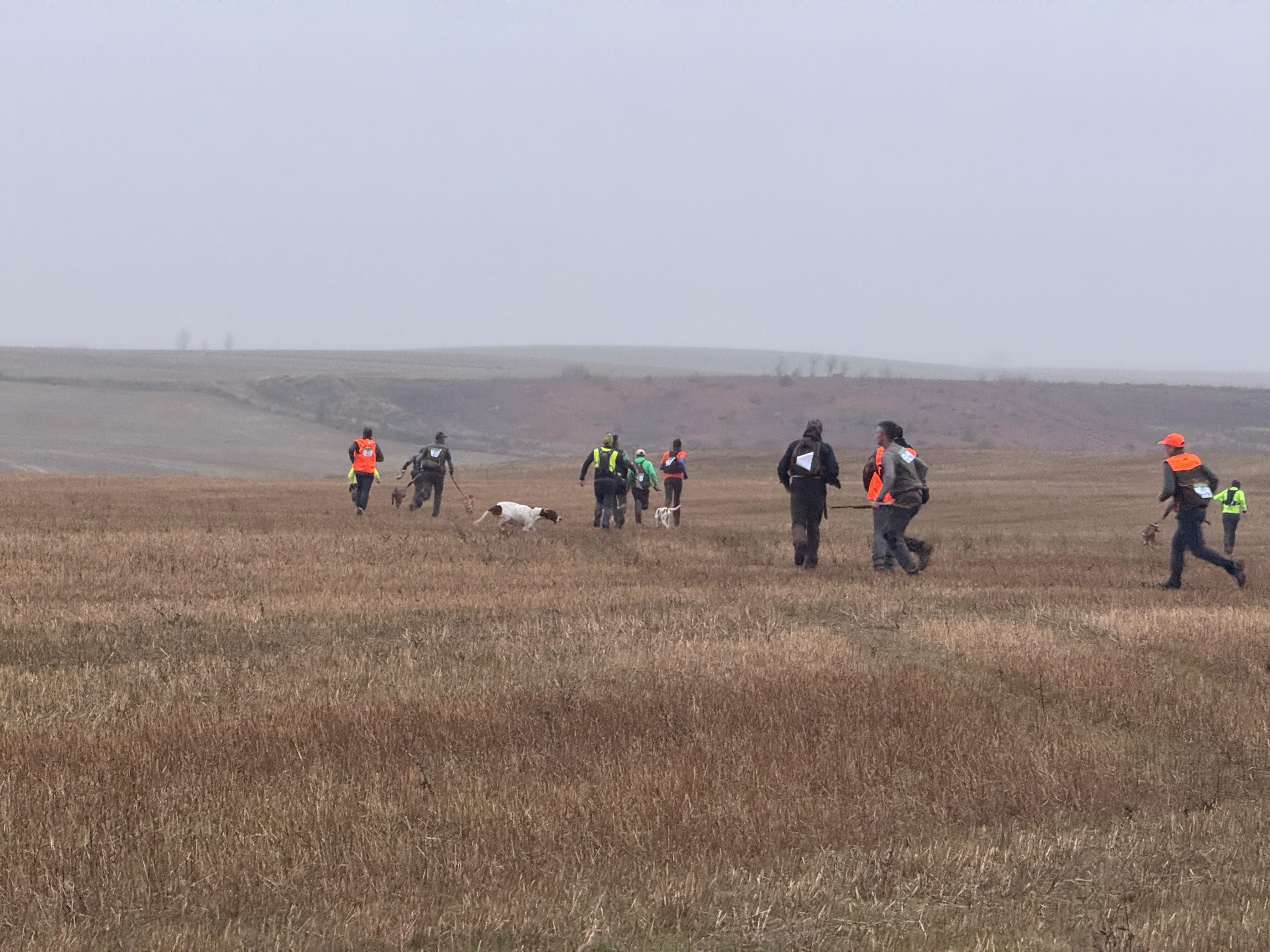 CAZA MENOR CON PERRO